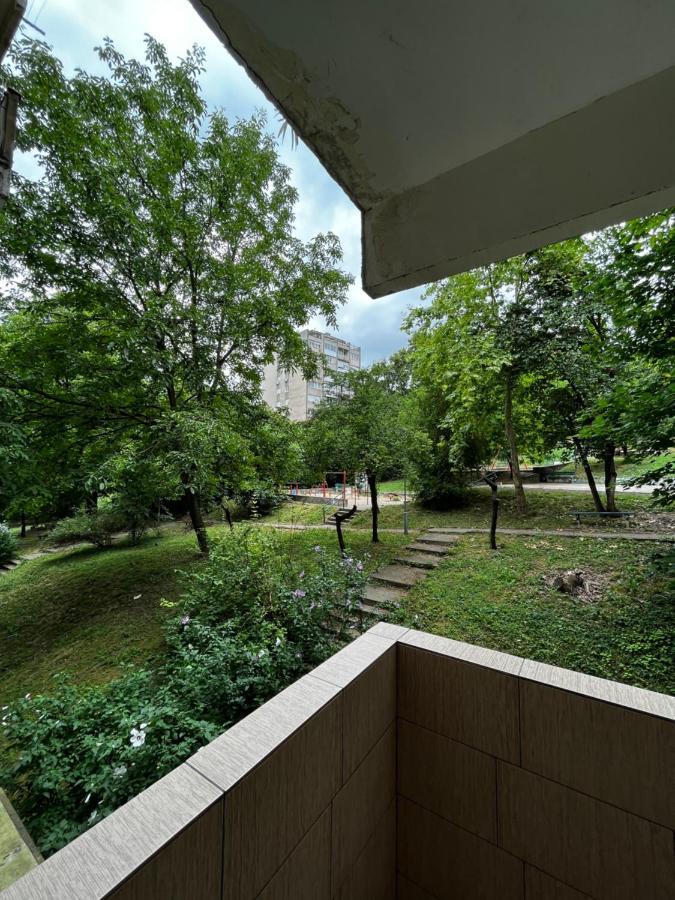 Apartman Sasha 2 Belgrade Exterior photo